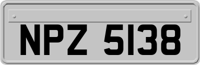 NPZ5138