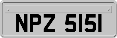 NPZ5151