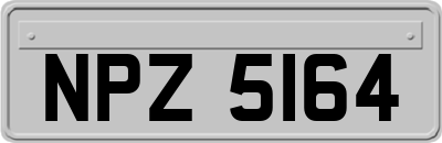 NPZ5164