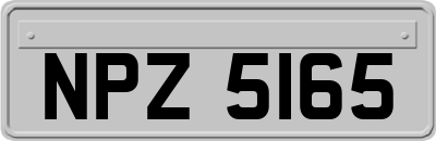 NPZ5165