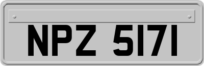 NPZ5171