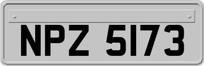 NPZ5173