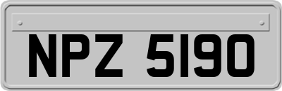 NPZ5190