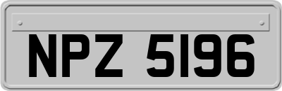 NPZ5196