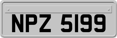 NPZ5199