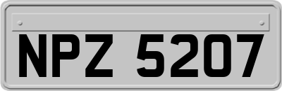 NPZ5207