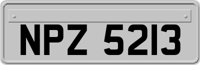 NPZ5213