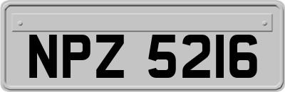 NPZ5216