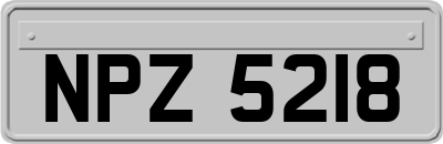 NPZ5218