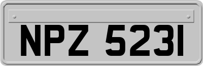 NPZ5231