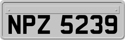 NPZ5239