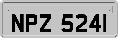NPZ5241