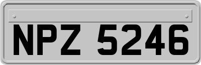 NPZ5246