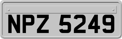 NPZ5249