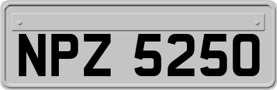 NPZ5250