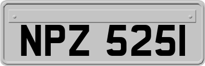 NPZ5251