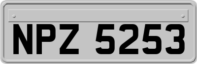 NPZ5253