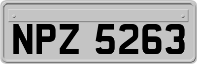 NPZ5263