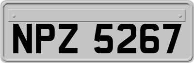 NPZ5267