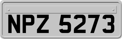 NPZ5273