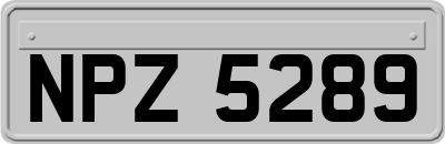 NPZ5289
