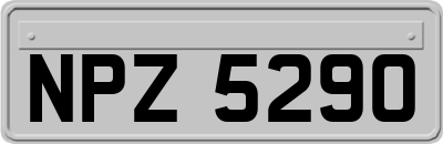 NPZ5290