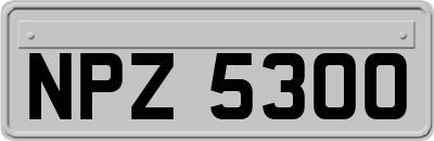 NPZ5300