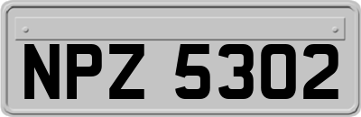 NPZ5302