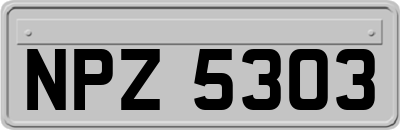 NPZ5303