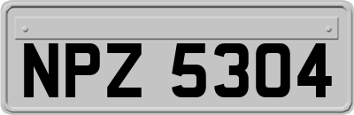 NPZ5304