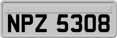 NPZ5308