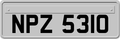 NPZ5310