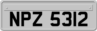 NPZ5312