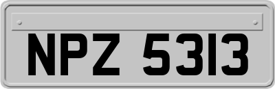 NPZ5313