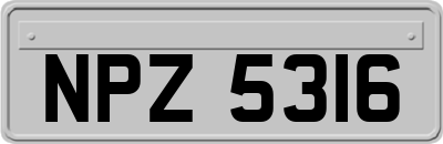 NPZ5316