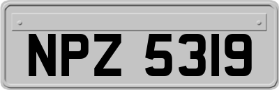 NPZ5319