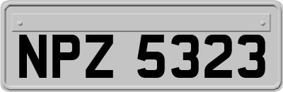 NPZ5323