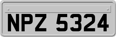 NPZ5324