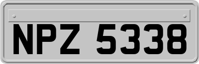 NPZ5338