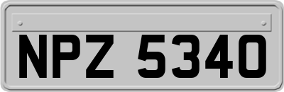 NPZ5340