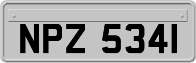 NPZ5341