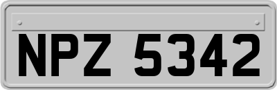 NPZ5342