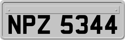 NPZ5344