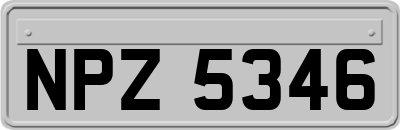 NPZ5346