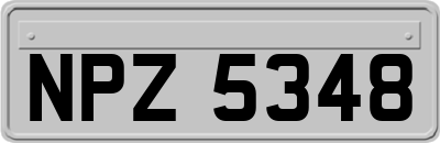 NPZ5348