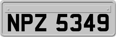 NPZ5349