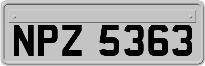 NPZ5363
