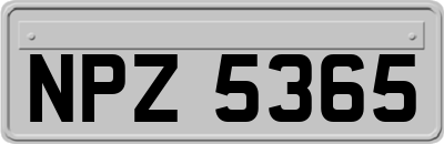 NPZ5365