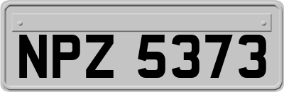 NPZ5373