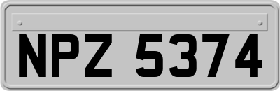 NPZ5374